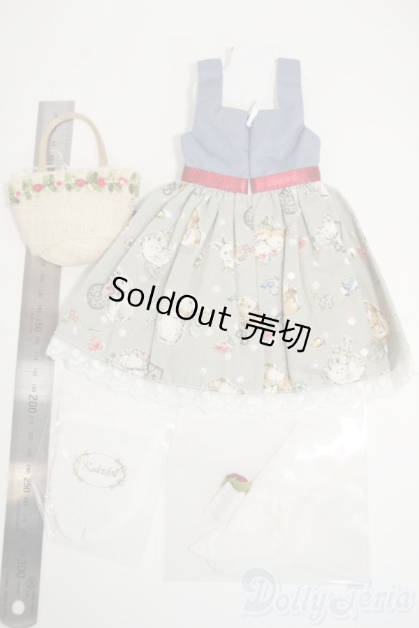 画像2: MDD/OF:衣装セット　Kaleidoll様製 Y-26-02-11-289-NY-ZY (2)