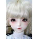 画像: SD女の子/F-85　ワンオフモデル U-24-12-10-220-NY-ZU