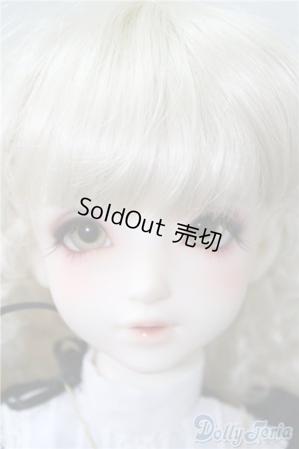 画像1: SD女の子/F-85　ワンオフモデル A-24-12-10-220-NY-ZA (1)