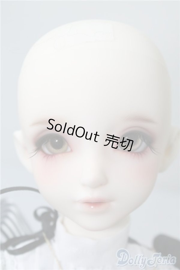 画像2: SD女の子/F-85　ワンオフモデル A-24-12-10-220-NY-ZA (2)