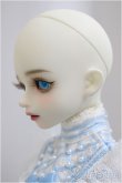 画像3: MYOU DOLL/Zuzana/BJD　球体関節人形 A-24-12-11-101-NY-ZA (3)