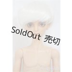 画像: Gem of Doll /Carlos Human Ver./BJD　球体関節人形 A-25-01-22-148-NY-ZA