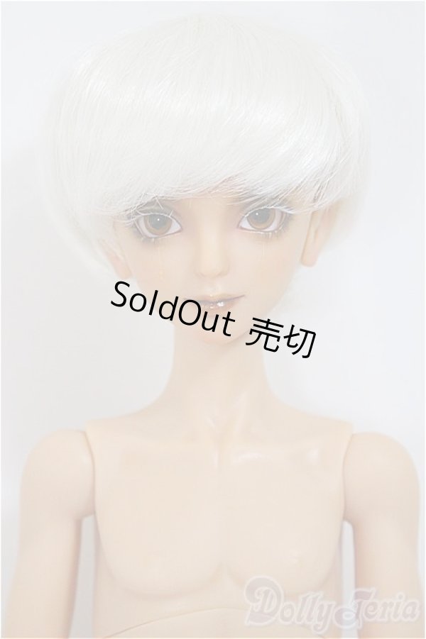 画像1: Gem of Doll /Carlos Human Ver./BJD　球体関節人形 A-25-01-22-148-NY-ZA (1)
