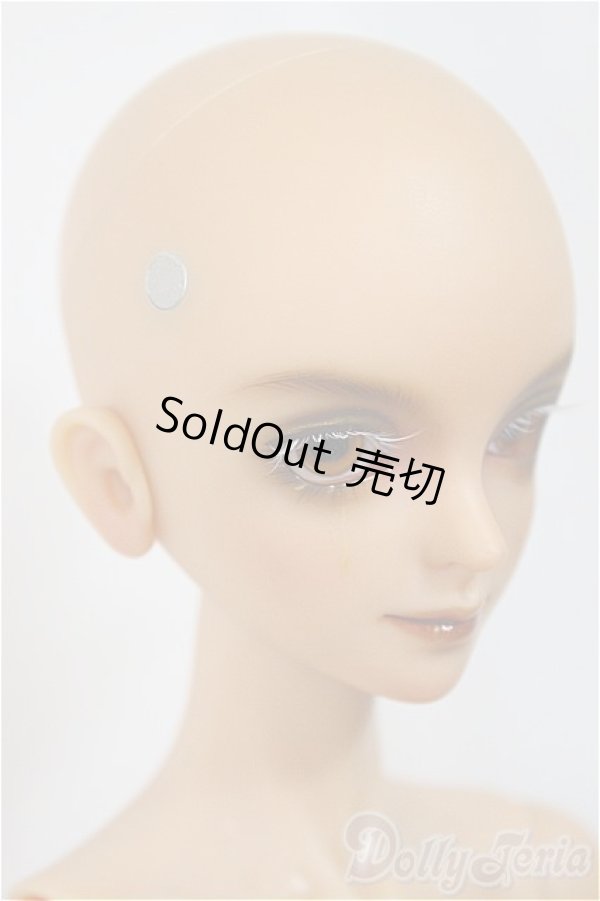 画像2: Gem of Doll /Carlos Human Ver./BJD　球体関節人形 A-25-01-22-148-NY-ZA (2)