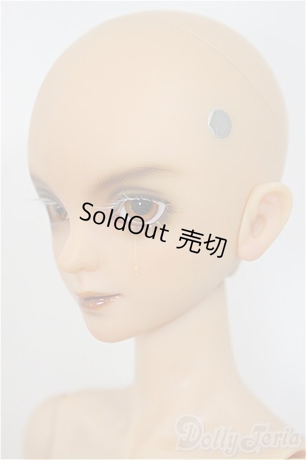 画像3: Gem of Doll /Carlos Human Ver./BJD　球体関節人形 A-25-01-22-148-NY-ZA (3)