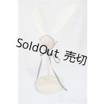 画像: DD/OF:小物/0 A-25-02-19-417-NY-ZA