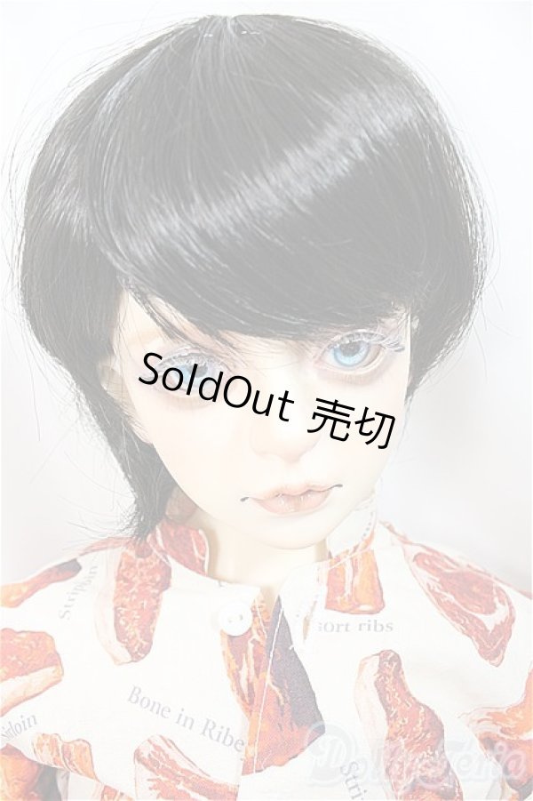 画像1: SPIRIT DOLL/Camellia　男の子ボディ/BJD　球体関節人形 A-25-02-12-250-NY-ZA (1)