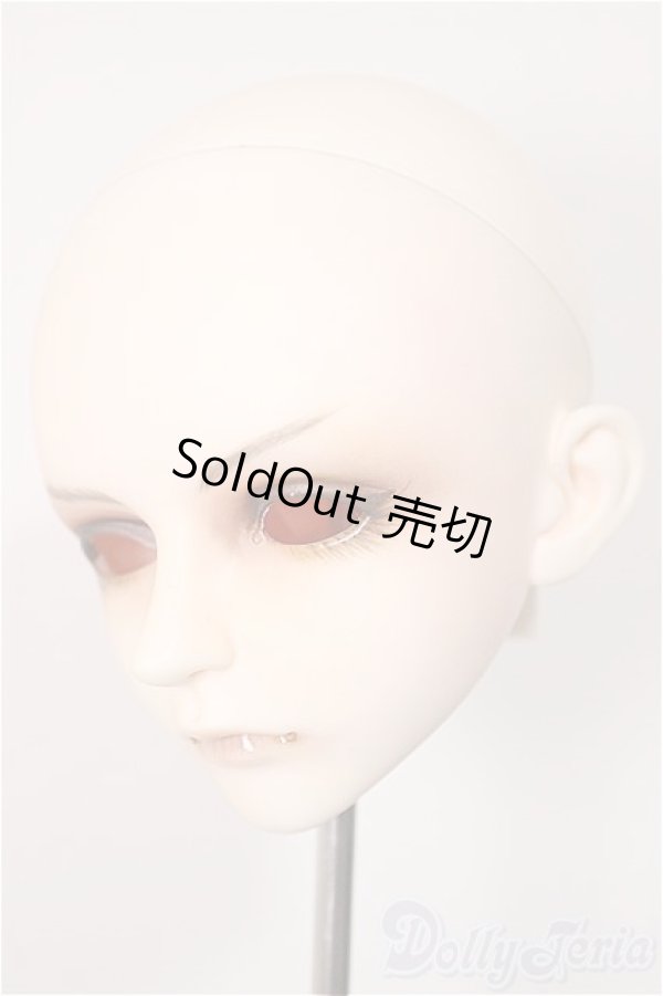 画像3: LUTS/Senior65 Delf XYLON　ヘッド/BJD　球体関節人形 A-25-11-12-250-NY-ZA (3)