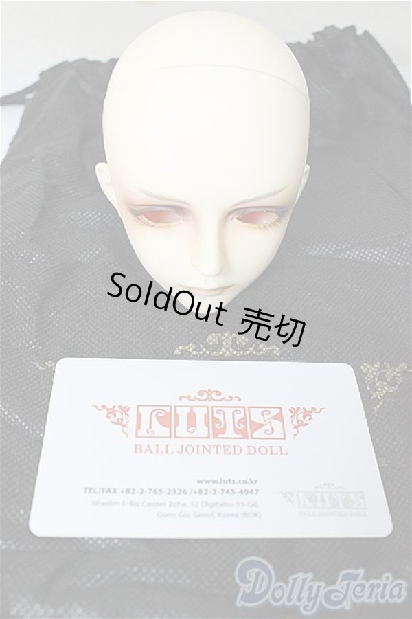 画像6: LUTS/Senior65 Delf XYLON　ヘッド/BJD　球体関節人形 A-25-11-12-250-NY-ZA (6)
