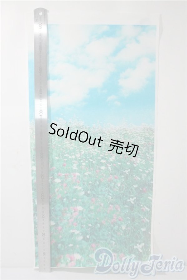 画像2: 撮影背景用小物3点 A-25-07-30-1058-KD-ZU (2)