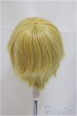 画像2: 10-11inch/ウィッグ/ファッションドール　衣装 A-25-04-02-428-KD-ZA (2)