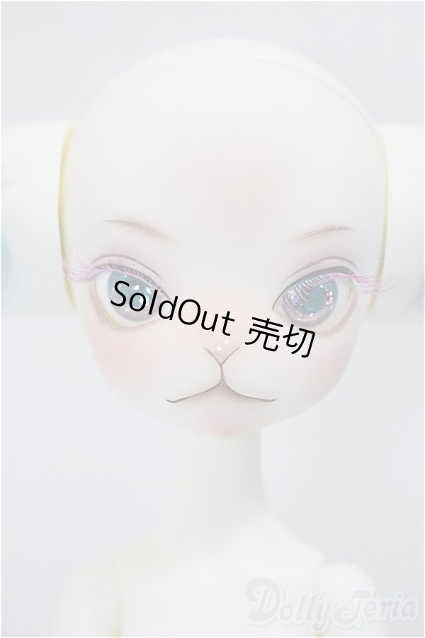 画像1: Dollzone/Miss Kitty Twinkle Star fullset/BJD　球体関節人形 A-24-12-25-101-KD-ZA (1)