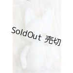 画像: KUMUKUKU/Xass [White]/BJD　球体関節人形 A-24-12-25-333-NY-ZA
