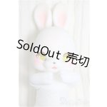 画像: MUKUKU/Oli [White]/BJD　球体関節人形 A-24-12-25-337-NY-ZA