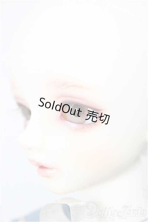 画像4: SDM女の子/コーディネートモデル：F-54/BJD　球体関節人形 A-25-01-01-259-NY-ZA (4)