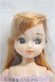 画像: リカちゃんキャッスル/リカちゃん　ミックス系　お人形教室スペシャル/BJD　球体関節人形 A-25-01-01-193-NY-ZA