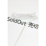 画像: SD/OF:小物 U-25-01-21-025-NY-ZU