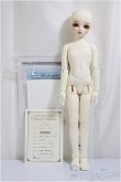 画像5: SDM女の子/コーディネートモデル:F-54/BJD　球体関節人形 A-25-01-08-160-KD-ZA (5)