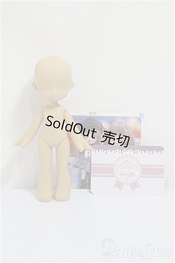 画像1: PiCCODO/1/12サイズボディ+ヘッド/ A-25-01-08-155-NY-ZA (1)