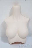 画像1: DD2.0/上半身パーツ/0 A-25-01-08-203-NY-ZA (1)