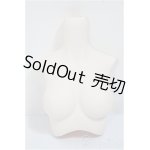 画像: DD2.0/上半身パーツ/0 A-25-01-08-203-NY-ZA