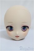 画像1: DC-H-30/ヘッド/BJD　球体関節人形 A-25-01-08-149-NY-ZA (1)
