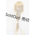 画像: 8-9inch/ウィッグ/インチ　BJD　MJD　ドール用 A-25-08-13-313-NY-ZA