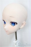 画像3: DD/DDH-09 カスタムヘッド/BJD　球体関節人形 A-25-02-12-248-NY-ZA (3)