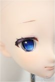 画像4: DD/DDH-09 カスタムヘッド/BJD　球体関節人形 A-25-02-12-248-NY-ZA (4)