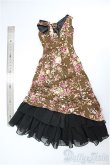 画像2: DD/OF:ドレス/0 A-25-03-12-339-NY-ZA (2)