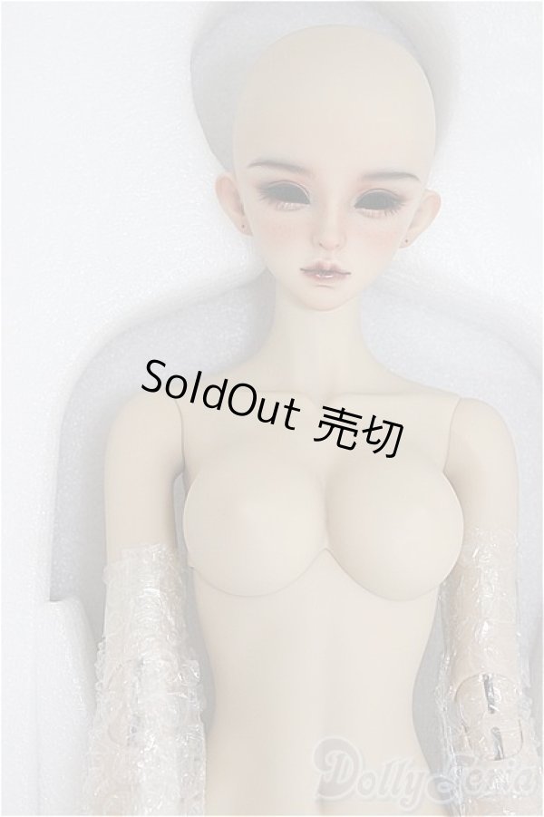 画像3: Angell Studio/Aeolian/BJD　球体関節人形 A-25-01-15-300-NY-ZA (3)