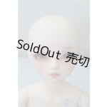 画像: SDM女の子/F-61　コーディネートモデル U-25-01-21-216-NY-ZU