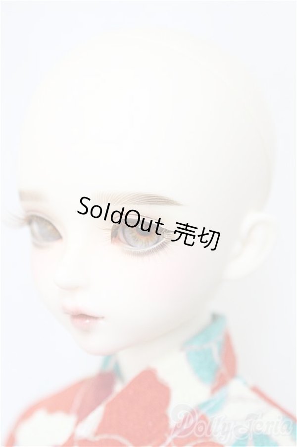 画像3: 【DOLK×MYOU DOLL】Delia - Literature Limited/BJD　球体関節人形 A-25-01-22-114-NY-ZA (3)
