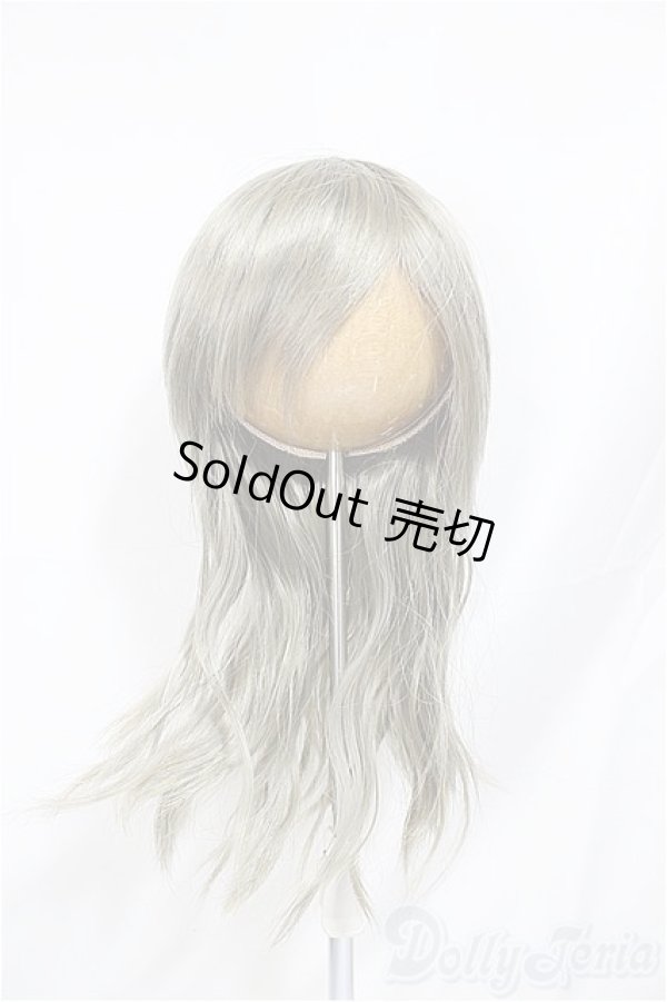 画像1: 9inch/ウィッグ/インチ　BJD　MJD　ドール用 A-25-04-02-412-NY-ZA (1)
