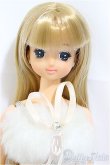 画像1: オオイケ/エリーナ本体・衣装/ A-25-01-22-106-NY-ZA (1)