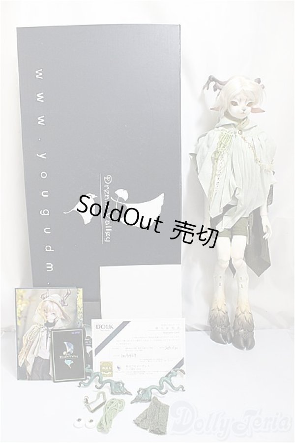 画像7: Dream Valley/Cedar/BJD 球体関節人形 A-25-01-22-199-NY-ZA (7)