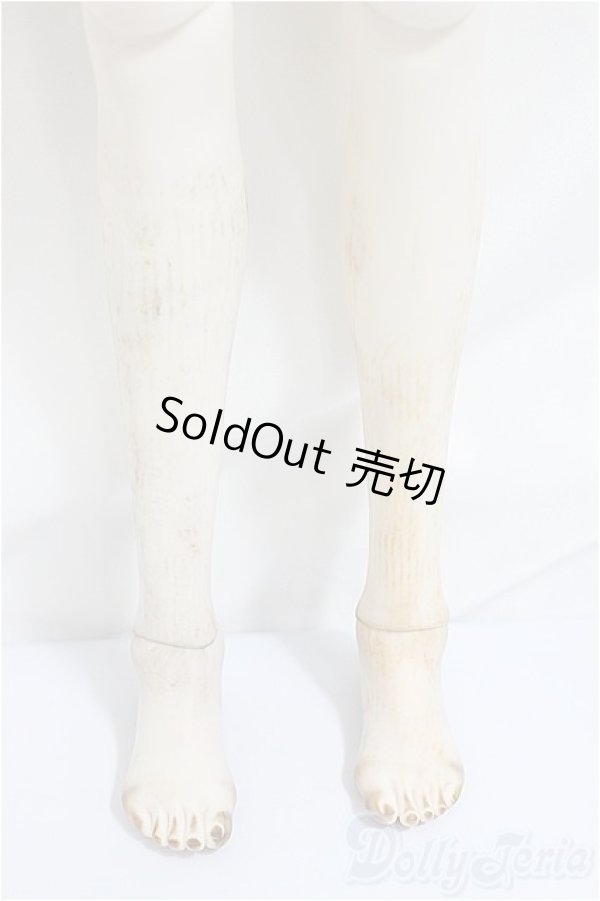 画像6: DDdy/アルナ/BJD 球体関節人形 A-25-01-22-360-NY-ZA (6)