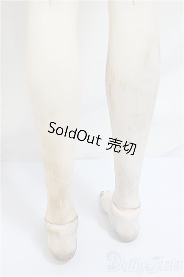 画像7: DDdy/アルナ/BJD 球体関節人形 A-25-01-22-360-NY-ZA (7)