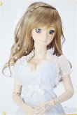 画像1: DD/OF：パーティーボレロドレスセット/0 A-25-03-05-468-NY-ZA (1)