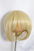 画像1: 9-10inch/ウィッグ/インチ　BJD　MJD　ドール用 A-25-04-02-432-KD-ZA (1)
