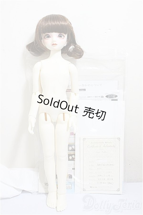 画像8: SDM女の子/コーディネートモデルF-62/BJD 球体関節人形 A-25-02-12-186-NY-ZA (8)