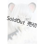 画像: Dream Valley /Uncia/BJD　球体関節人形 A-25-02-05-284-NY-ZA
