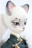 画像3: Dream Valley /Uncia/BJD　球体関節人形 A-25-02-05-284-NY-ZA (3)