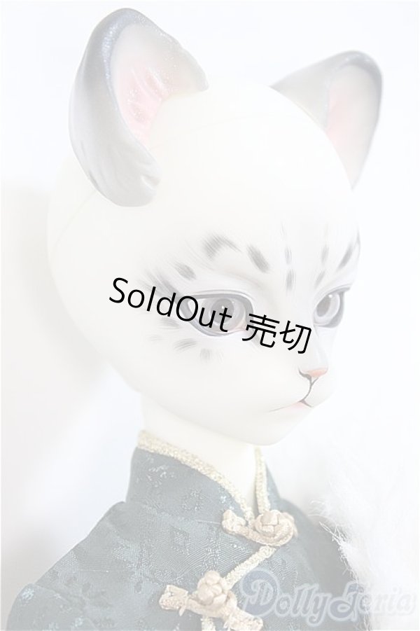 画像3: Dream Valley /Uncia/BJD　球体関節人形 A-25-02-05-284-NY-ZA (3)