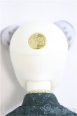 画像4: Dream Valley /Uncia/BJD　球体関節人形 A-25-02-05-284-NY-ZA (4)