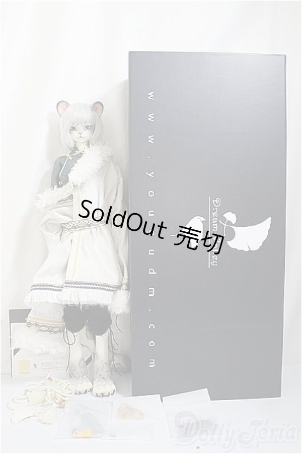 画像5: Dream Valley /Uncia/BJD　球体関節人形 A-25-02-05-284-NY-ZA (5)