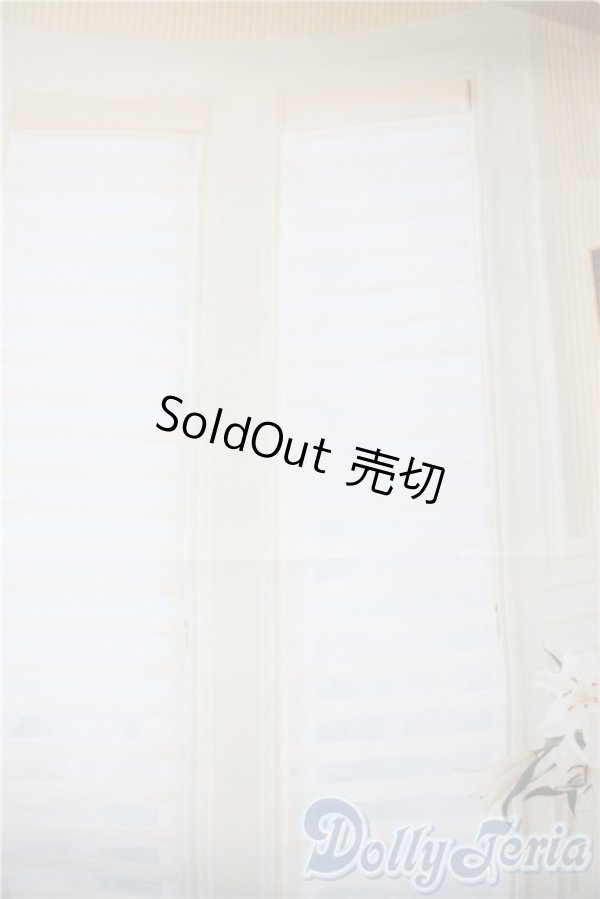 画像1: SD/背景布 U-25-03-04-147-KD-ZU (1)