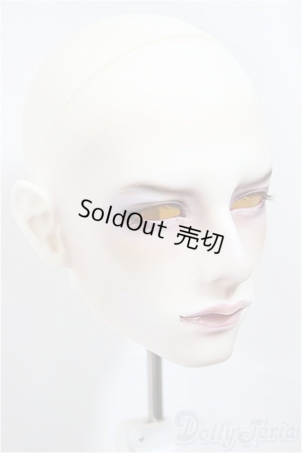 画像2: FHSH doll /TIAN Head/BJD　球体関節人形 A-25-02-12-121-NY-ZA (2)