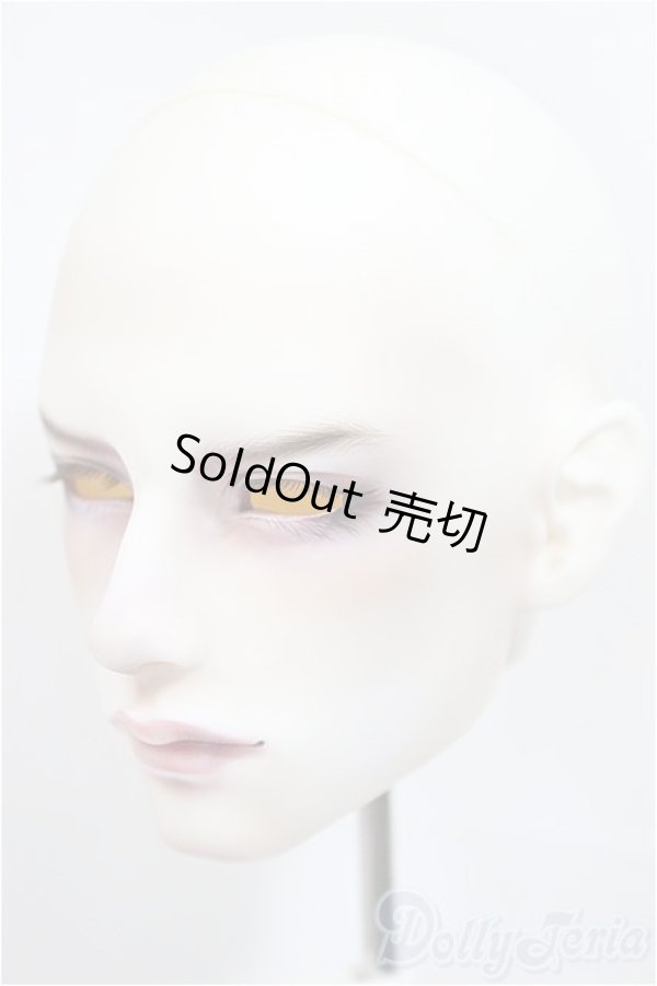 画像3: FHSH doll /TIAN Head/BJD　球体関節人形 A-25-02-12-121-NY-ZA (3)
