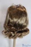 画像2: 8-9inch/ウィッグ/インチ　BJD　MJD　ドール用 A-25-04-02-431-NY-ZA (2)